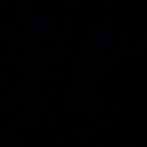 Meet your Posher, Mckenzie